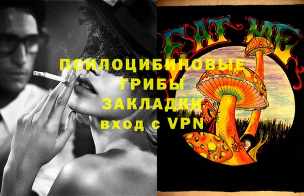 дмт Нягань