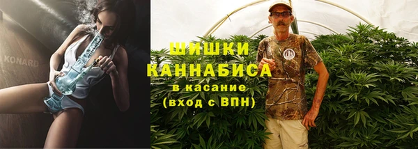 дмт Нягань