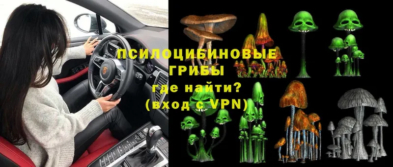 Галлюциногенные грибы Magic Shrooms  Куровское 