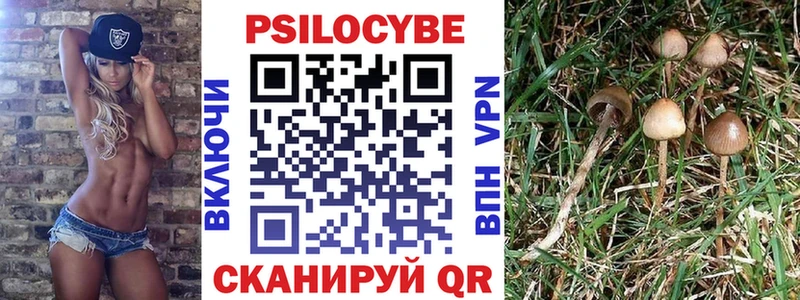 Псилоцибиновые грибы мухоморы закладки hydra ССЫЛКА Куровское