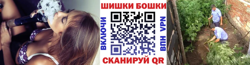 Бошки марихуана индика  Куровское 